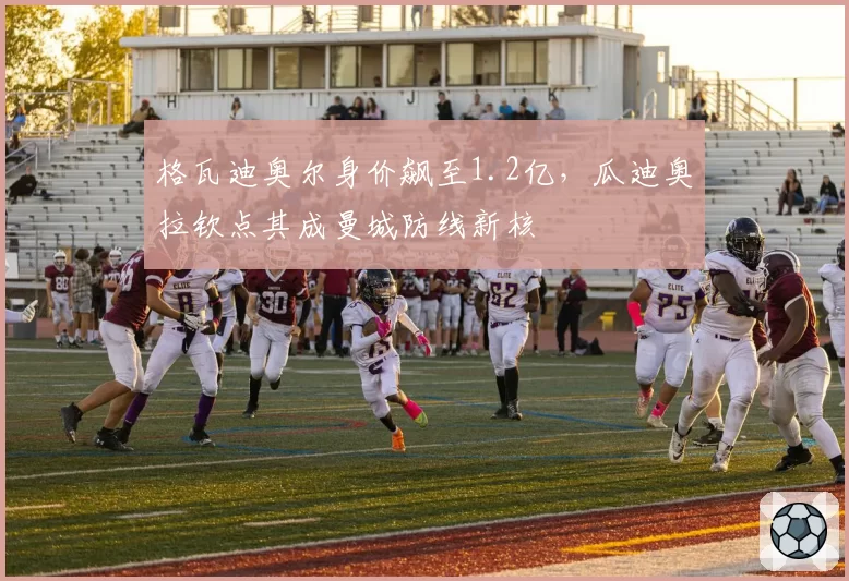 格瓦迪奥尔身价飙至1.2亿，瓜迪奥拉钦点其成曼城防线新核