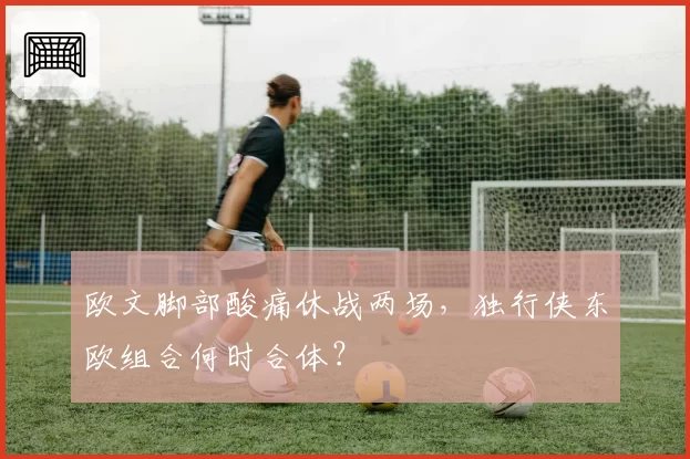 欧文脚部酸痛休战两场，独行侠东欧组合何时合体？
